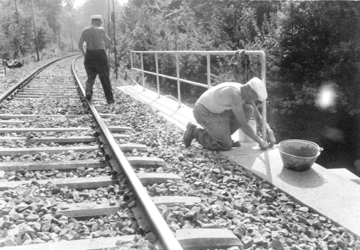 20260107113152815 0001 002