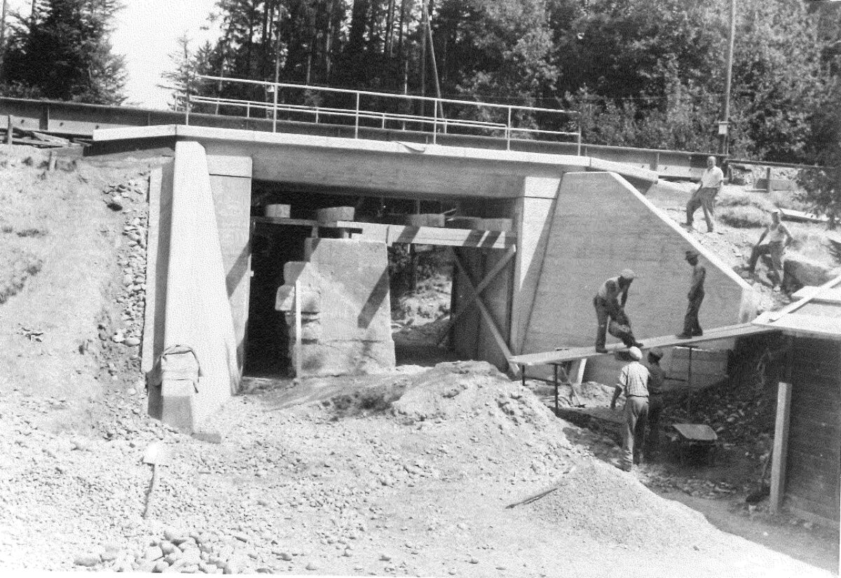 20260107113635932 0001 002