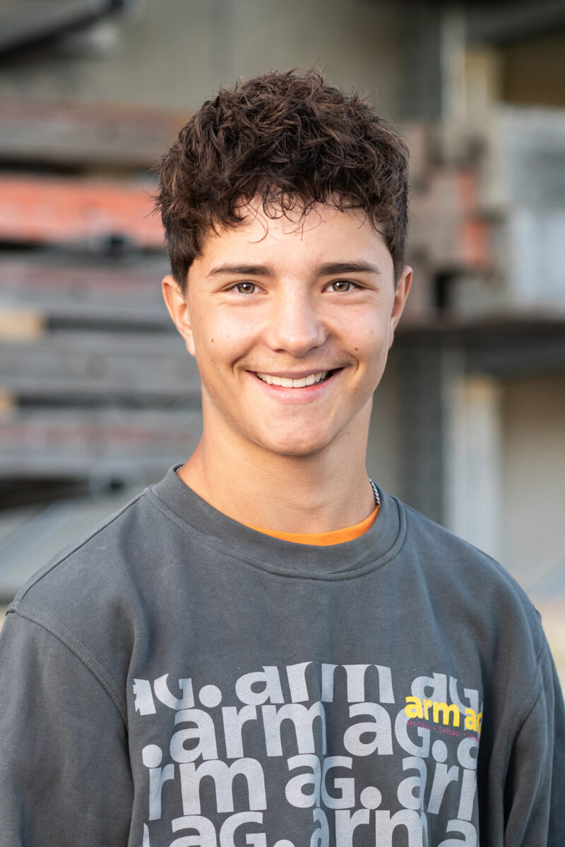 Levin schwab arm ag 08 256301 small